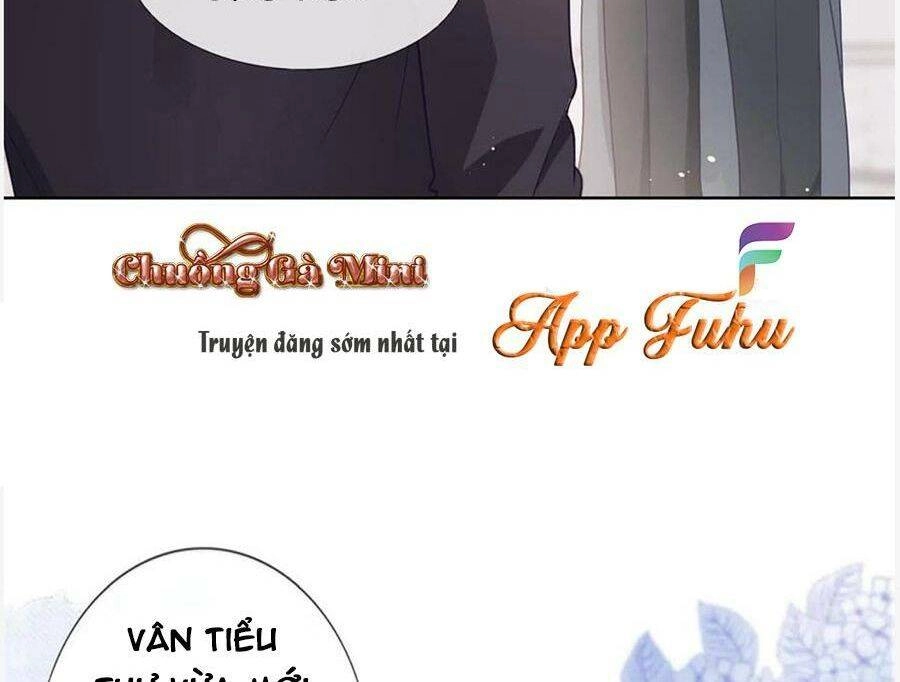 Boss Sát Thủ Dưỡng Hồ Yêu Chapter 95 - 12