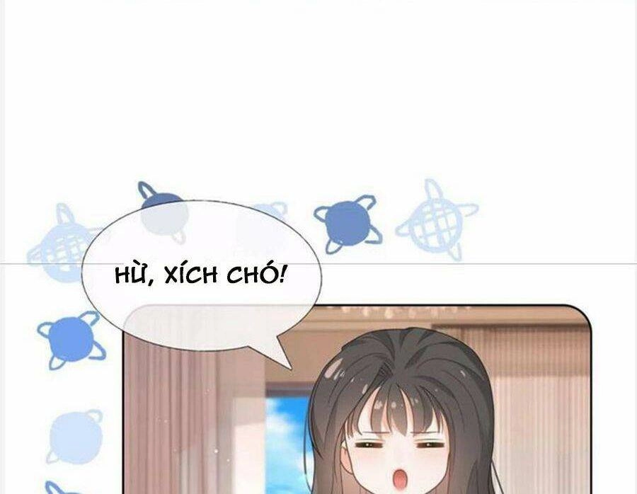 Boss Sát Thủ Dưỡng Hồ Yêu Chapter 96 - 7