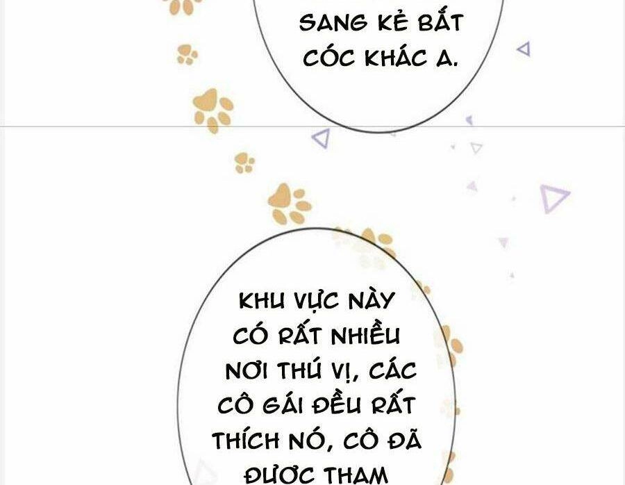 Boss Sát Thủ Dưỡng Hồ Yêu Chapter 96 - 23