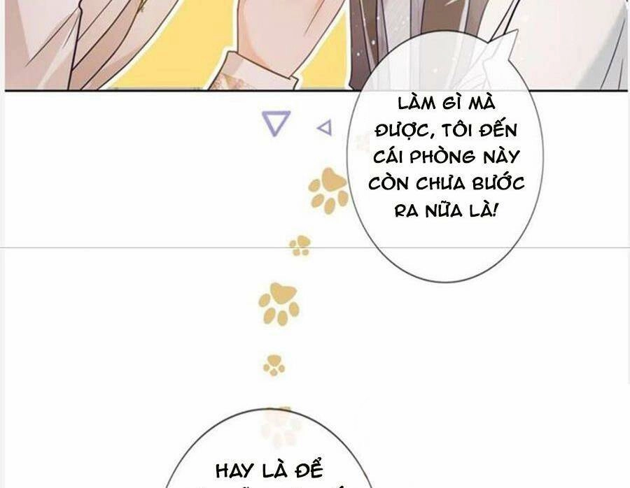 Boss Sát Thủ Dưỡng Hồ Yêu Chapter 96 - 25