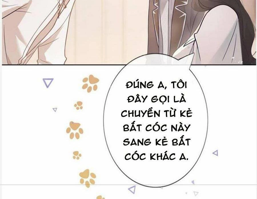 Boss Sát Thủ Dưỡng Hồ Yêu Chapter 96 - 44