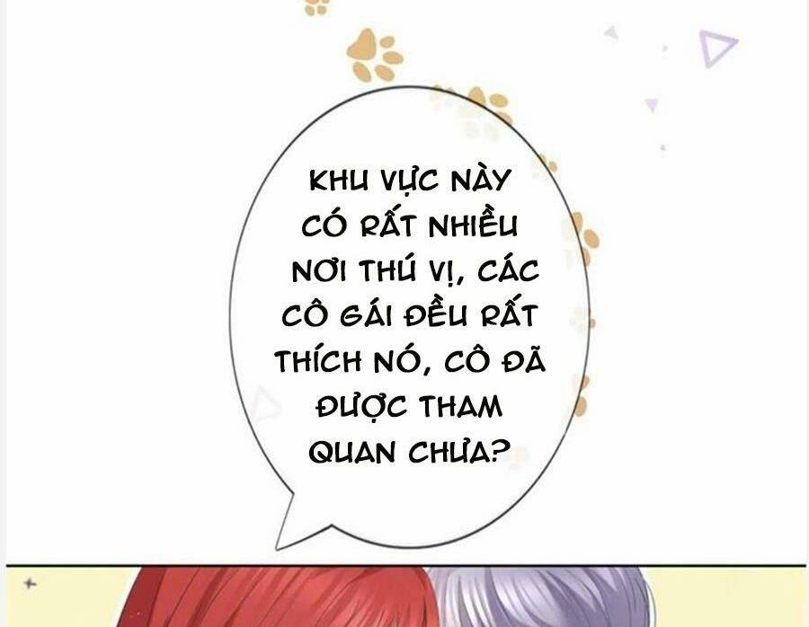 Boss Sát Thủ Dưỡng Hồ Yêu Chapter 96 - 45