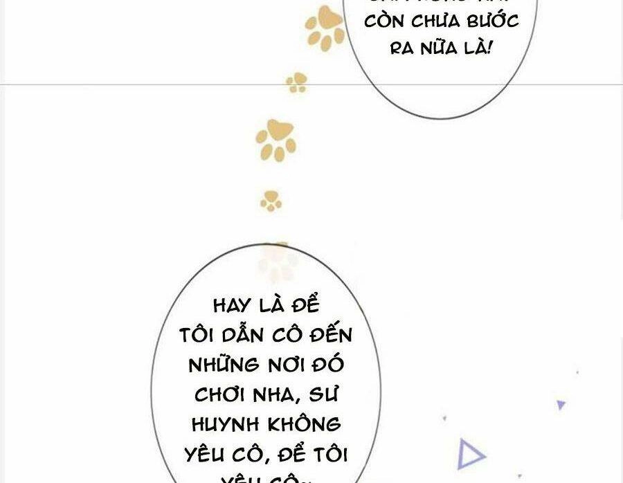 Boss Sát Thủ Dưỡng Hồ Yêu Chapter 96 - 47