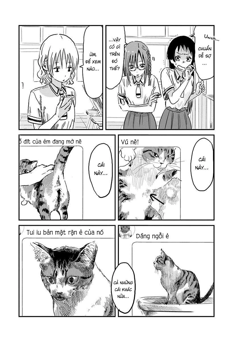 Câu Chuyện Cuộc Sống Học Đường Của 3 Cô Gái Chapter 71 - 5