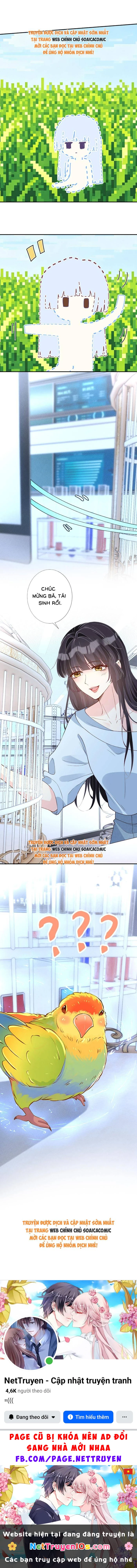 Ôm Khẩn Tiểu Mã Giáp Của Tôi Chapter 421 - 7