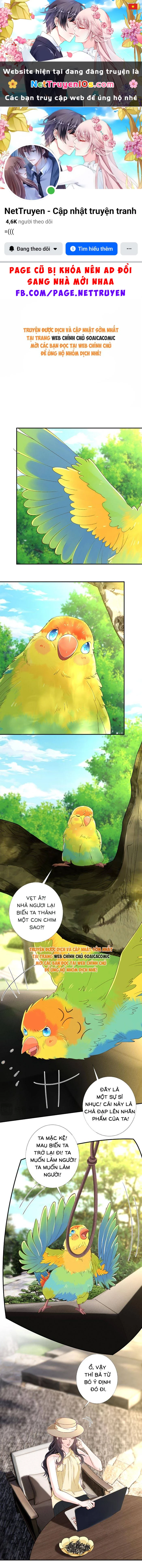 Ôm Khẩn Tiểu Mã Giáp Của Tôi Chapter 422 - 1