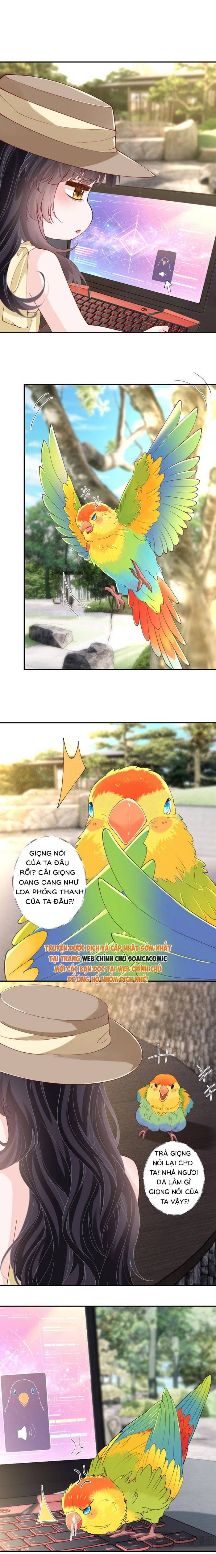 Ôm Khẩn Tiểu Mã Giáp Của Tôi Chapter 422 - 2