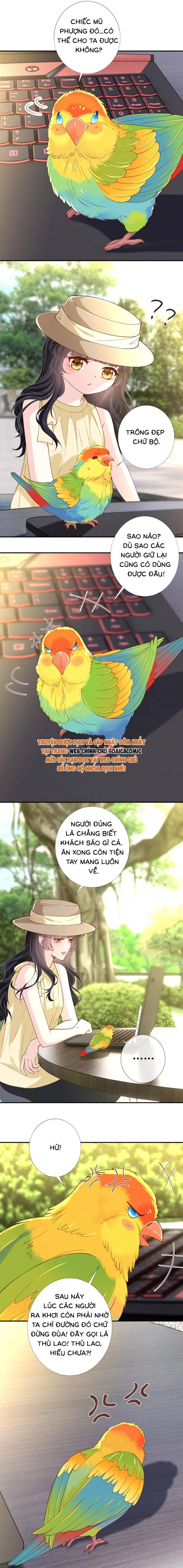 Ôm Khẩn Tiểu Mã Giáp Của Tôi Chapter 422 - 6