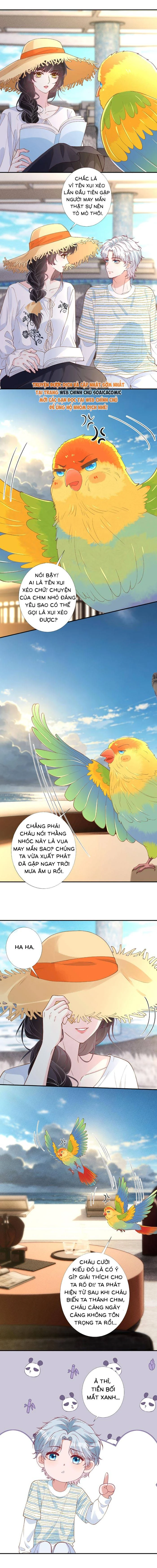Ôm Khẩn Tiểu Mã Giáp Của Tôi Chapter 424 - 2