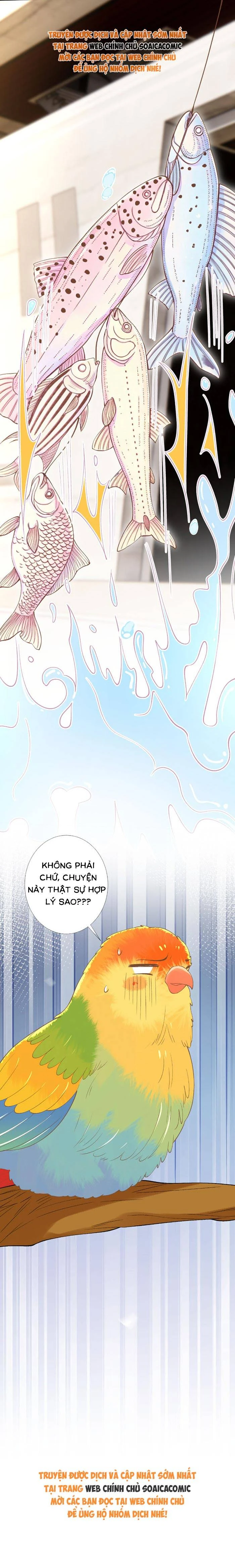 Ôm Khẩn Tiểu Mã Giáp Của Tôi Chapter 424 - 8