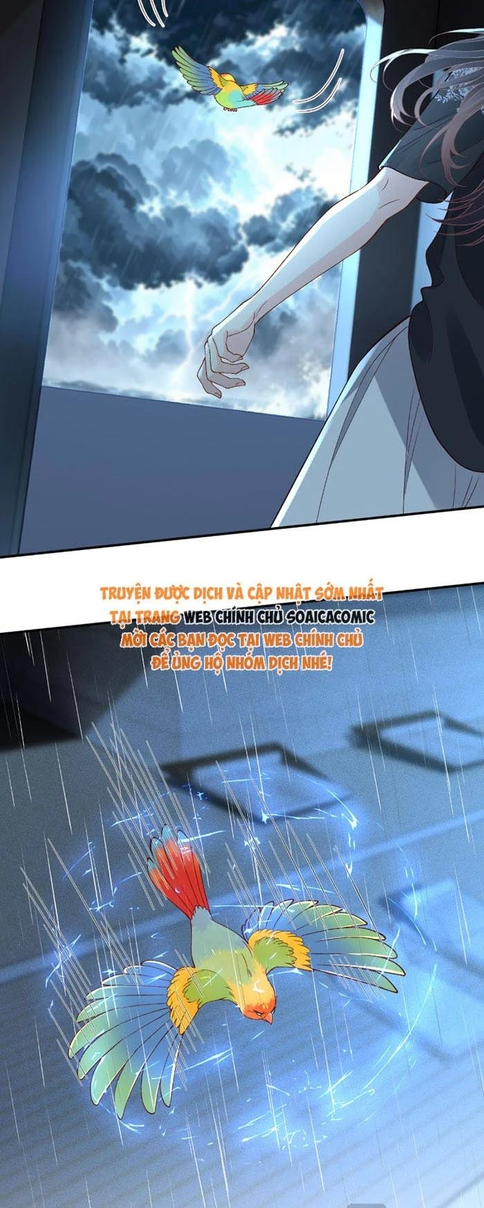 Ôm Khẩn Tiểu Mã Giáp Của Tôi Chapter 426 - 22