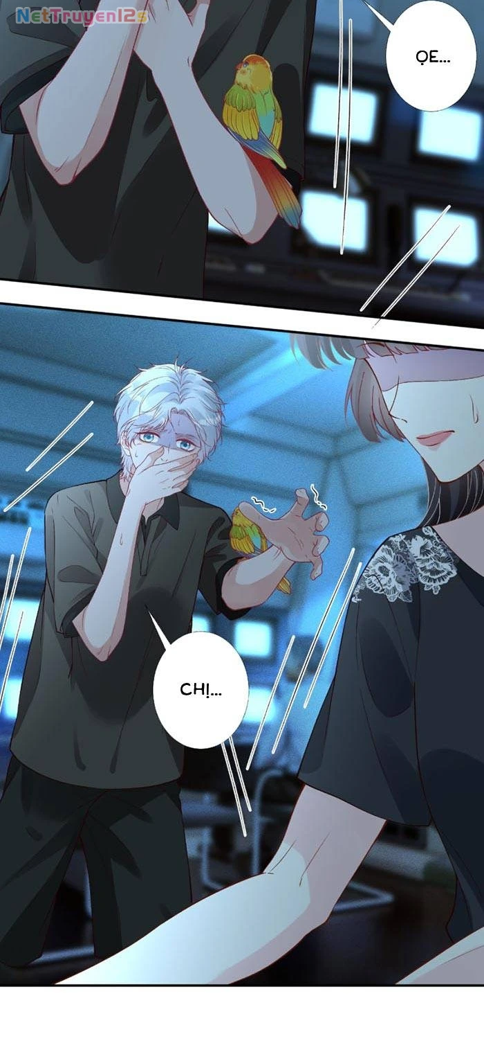 Ôm Khẩn Tiểu Mã Giáp Của Tôi Chapter 427 - 12