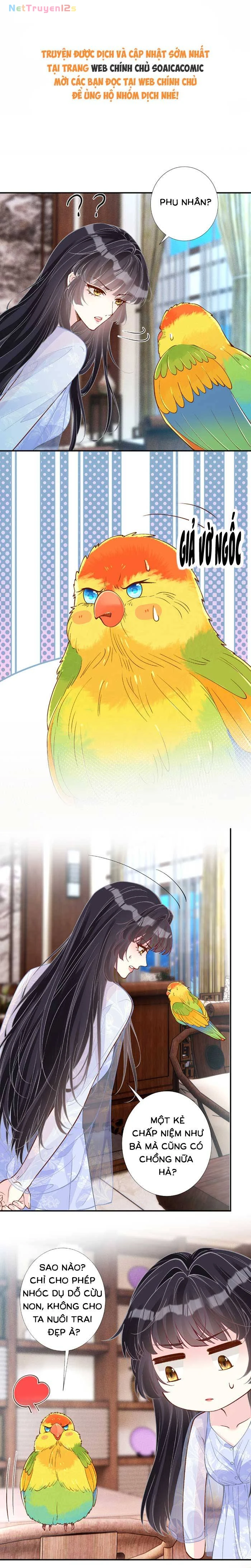 Ôm Khẩn Tiểu Mã Giáp Của Tôi Chapter 429 - 1