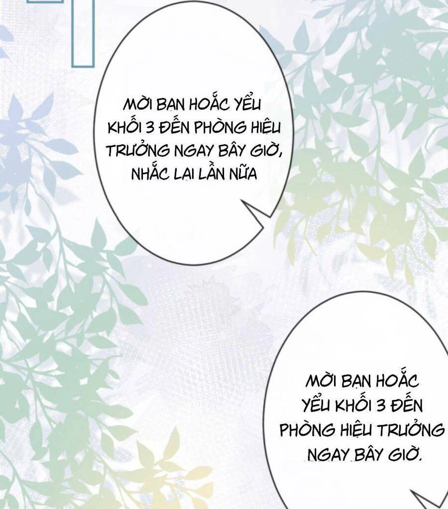 Ôm Khẩn Tiểu Mã Giáp Của Tôi Chapter 17 - 31