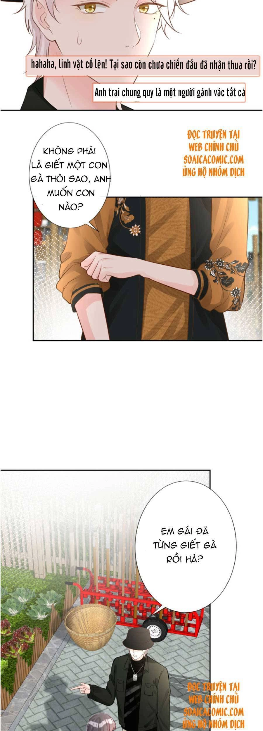 Ôm Khẩn Tiểu Mã Giáp Của Tôi Chapter 70 - 12