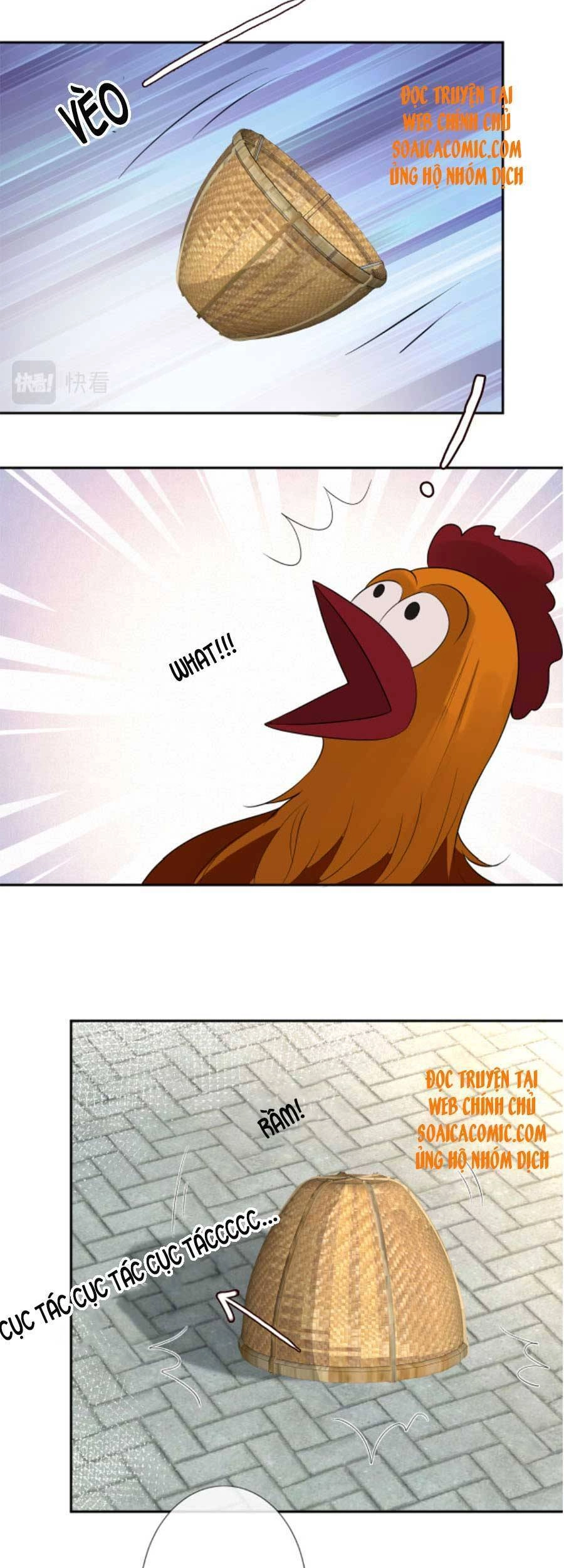 Ôm Khẩn Tiểu Mã Giáp Của Tôi Chapter 70 - 14