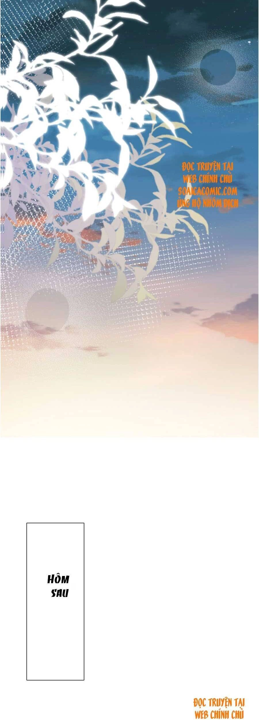 Ôm Khẩn Tiểu Mã Giáp Của Tôi Chapter 81 - 27