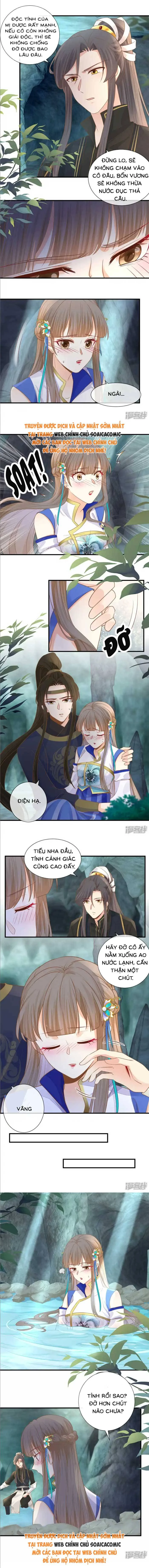 Thiên Kim Độc Phi Trọng Sinh Chapter 35 - 3