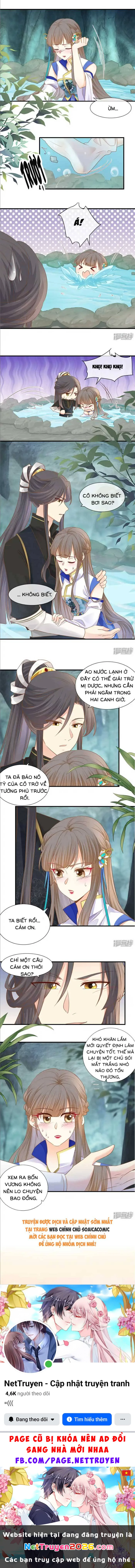 Thiên Kim Độc Phi Trọng Sinh Chapter 35 - 4