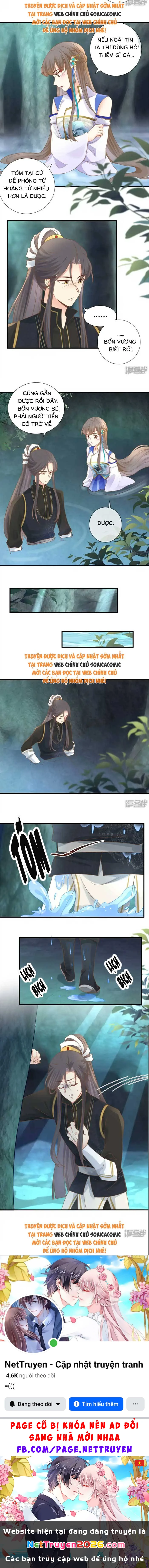 Thiên Kim Độc Phi Trọng Sinh Chapter 36 - 4