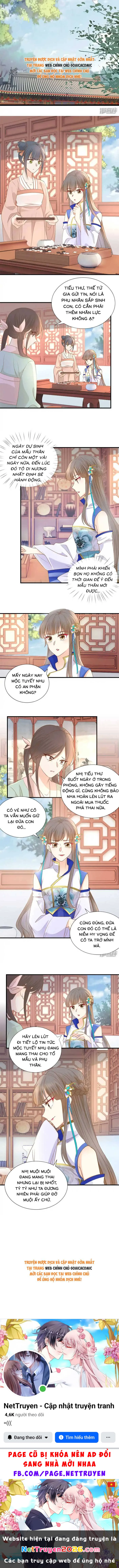 Thiên Kim Độc Phi Trọng Sinh Chapter 37 - 3