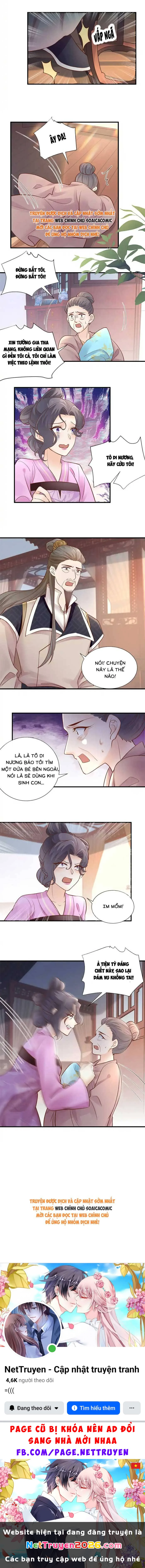 Thiên Kim Độc Phi Trọng Sinh Chapter  42 - 4