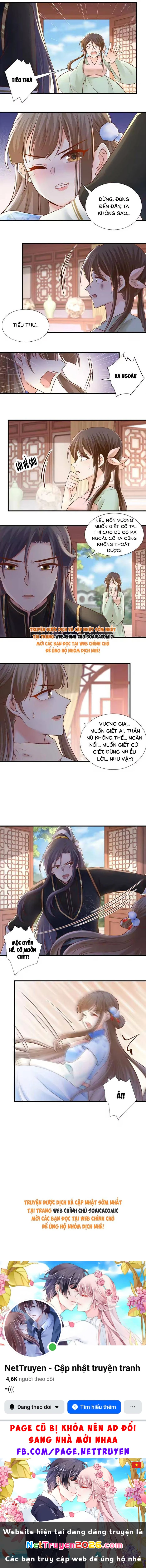 Thiên Kim Độc Phi Trọng Sinh Chapter 50 - 4