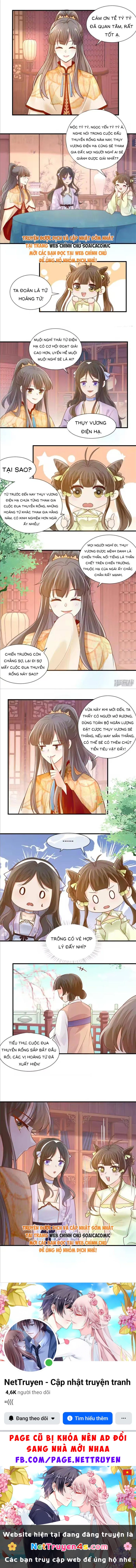 Thiên Kim Độc Phi Trọng Sinh Chapter 53 - 4