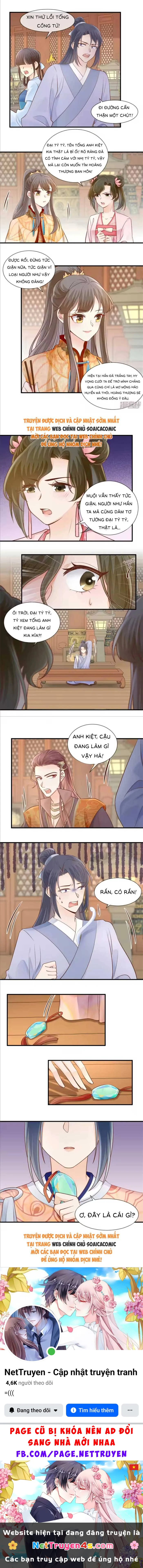 Thiên Kim Độc Phi Trọng Sinh Chapter 56 - 3