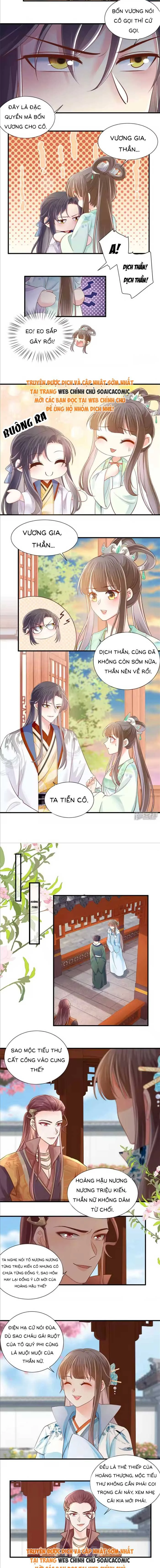 Thiên Kim Độc Phi Trọng Sinh Chapter 65 - 2