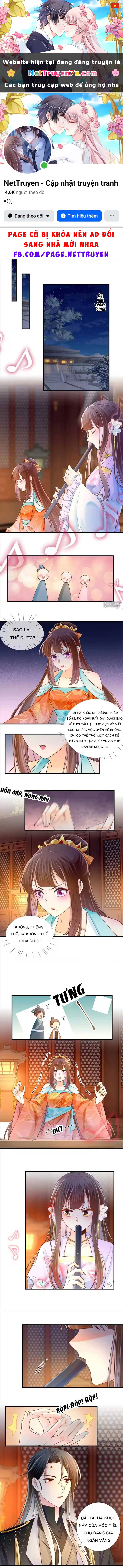 Thiên Kim Độc Phi Trọng Sinh Chapter 72 - 1