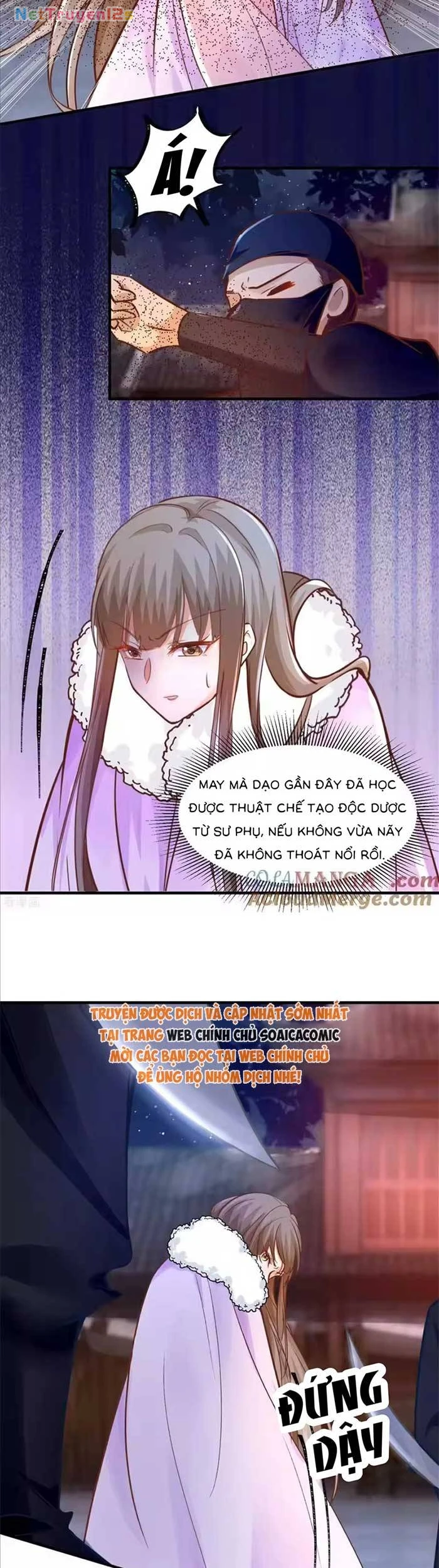 Thiên Kim Độc Phi Trọng Sinh Chapter 88 - 8