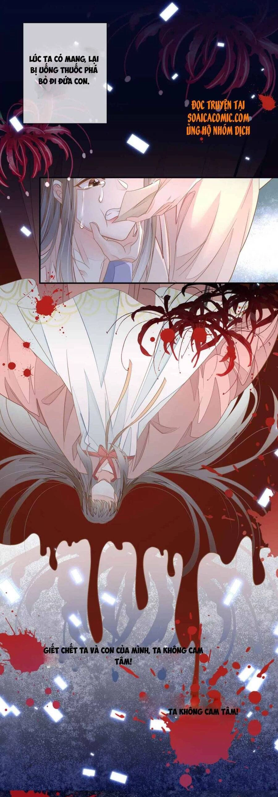 Thiên Kim Độc Phi Trọng Sinh Chapter 1 - 11