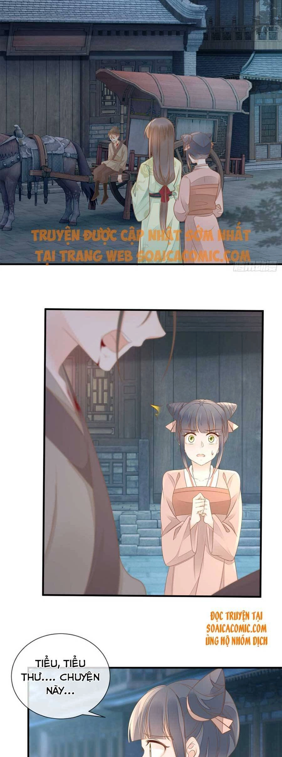 Thiên Kim Độc Phi Trọng Sinh Chapter 15 - 3