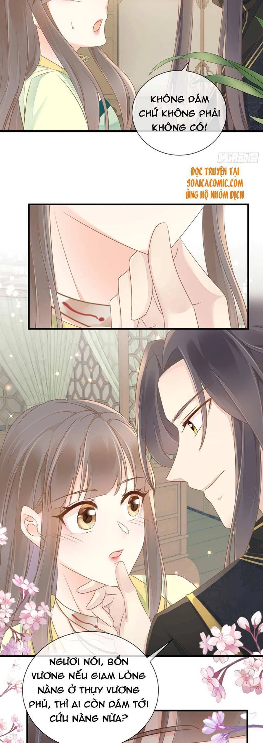 Thiên Kim Độc Phi Trọng Sinh Chapter 16 - 6