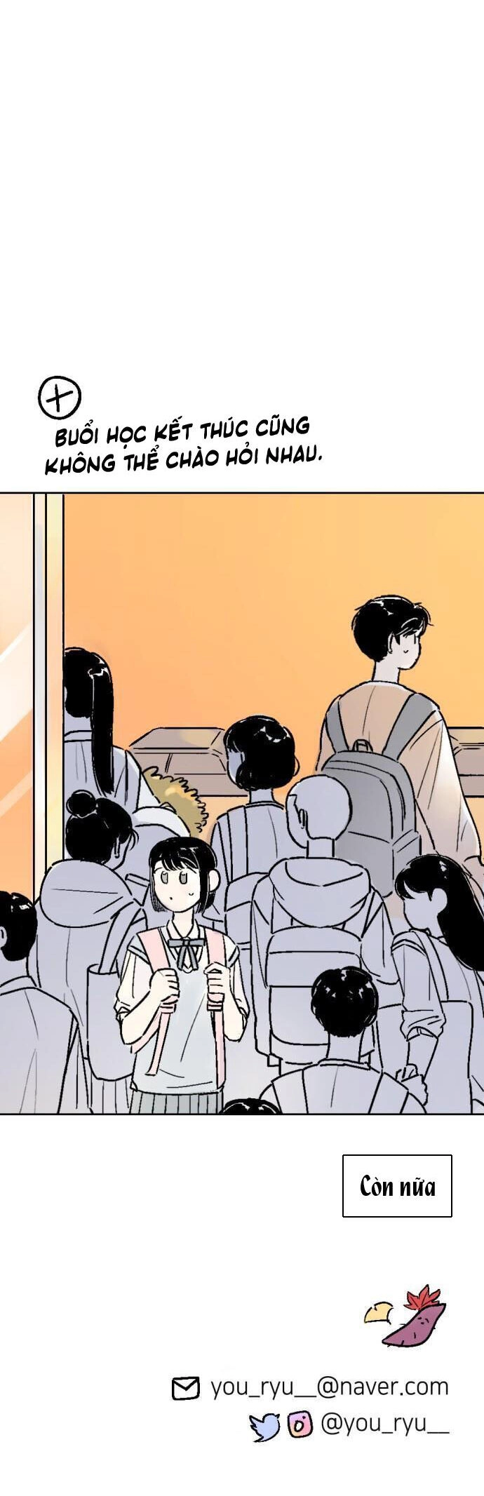 Người Bạn Cùng Trường Chapter 28 - 28