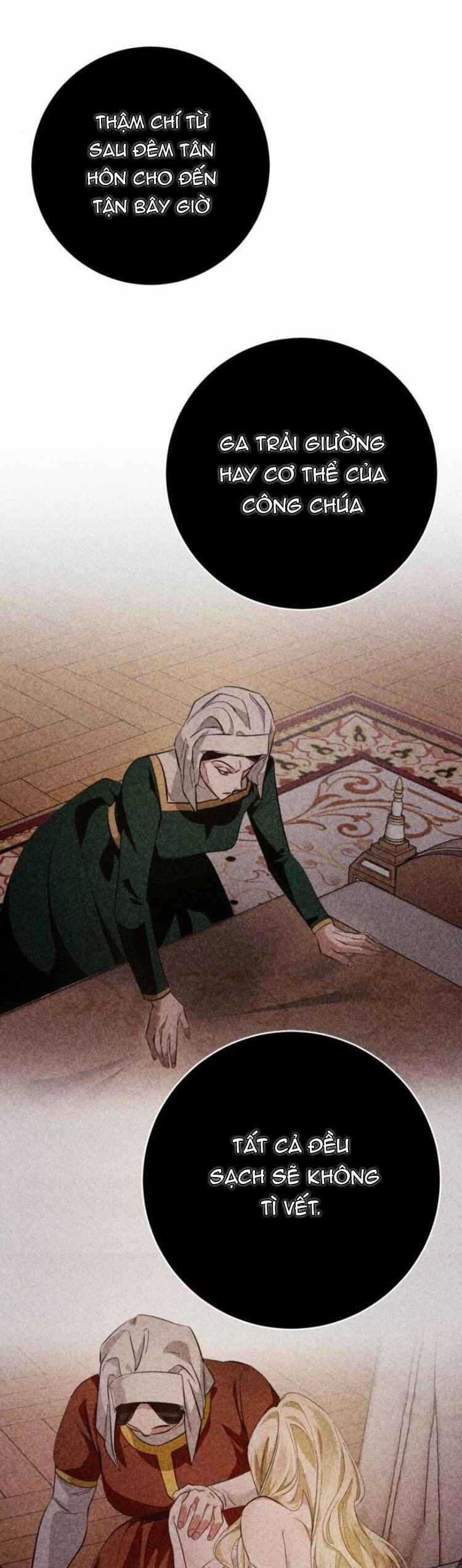 Đằng Sau Nụ Cười Của Nàng Công Chúa Chapter 11 - 13