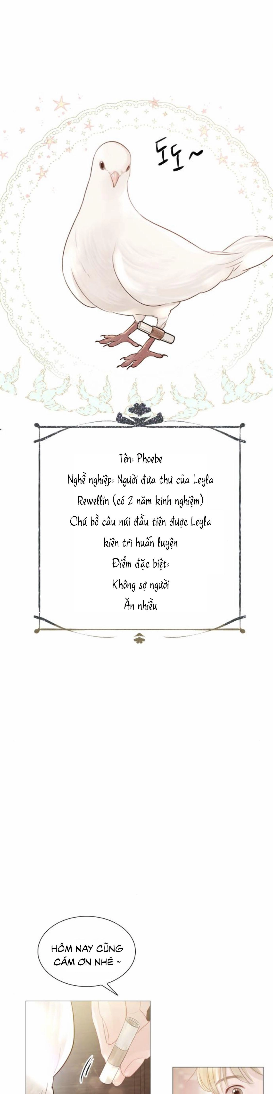 Hãy Khóc Và Cầu Nguyện Đi Chapter 19 - 41