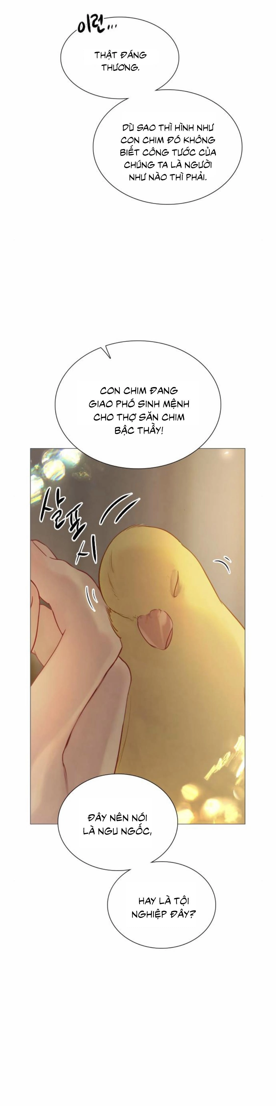 Hãy Khóc Và Cầu Nguyện Đi Chapter 21 - 14