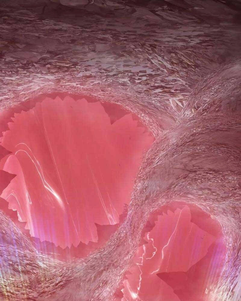 Gậy Gỗ Cấp 99+ Chapter 82 - 180