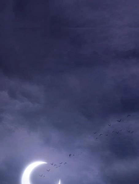 Gậy Gỗ Cấp 99+ Chapter 2.1 - 87