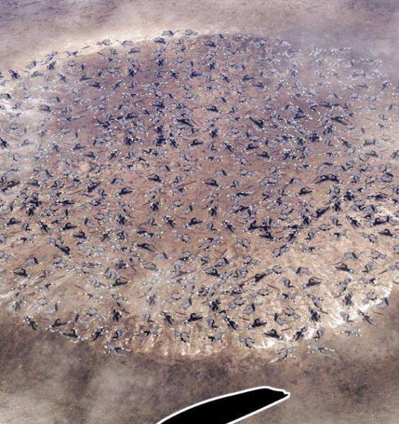 Gậy Gỗ Cấp 99+ Chapter 3.1 - 189