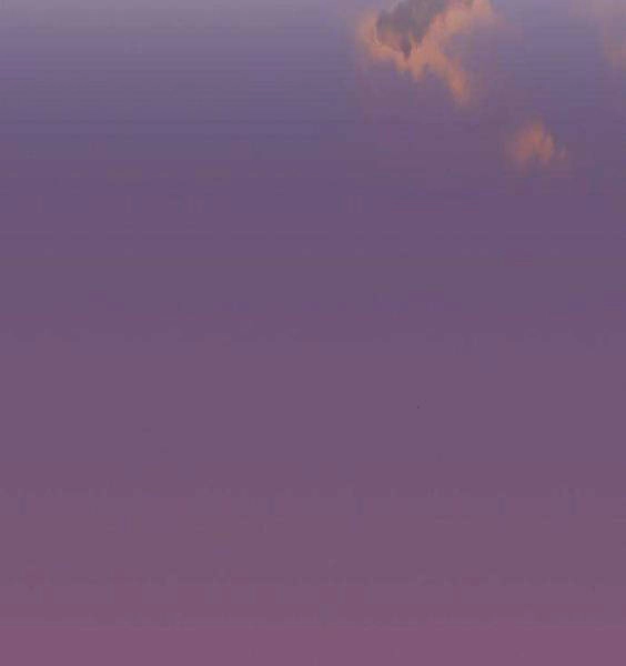 Gậy Gỗ Cấp 99+ Chapter 3.5 - 127