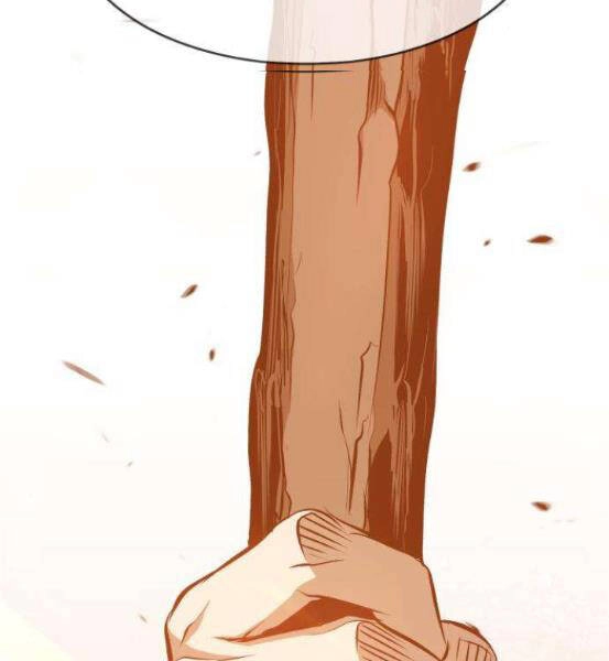 Gậy Gỗ Cấp 99+ Chapter 4.1 - 133