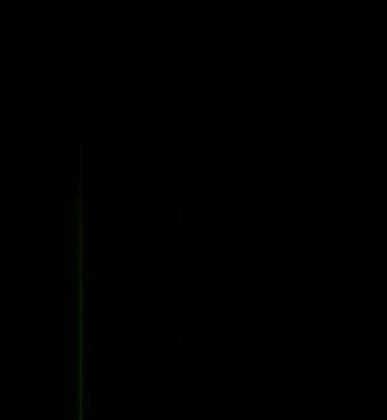 Gậy Gỗ Cấp 99+ Chapter 4.5 - 47