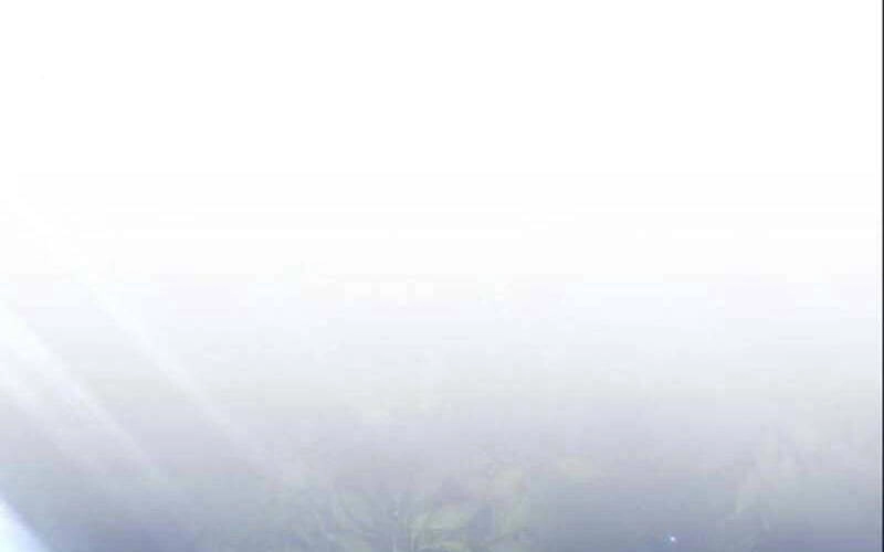 Gậy Gỗ Cấp 99+ Chapter 6.1 - 123