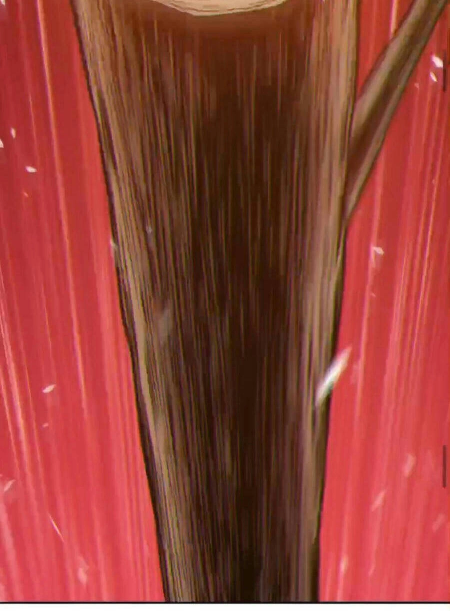 Gậy Gỗ Cấp 99+ Chapter 9.5 - 6