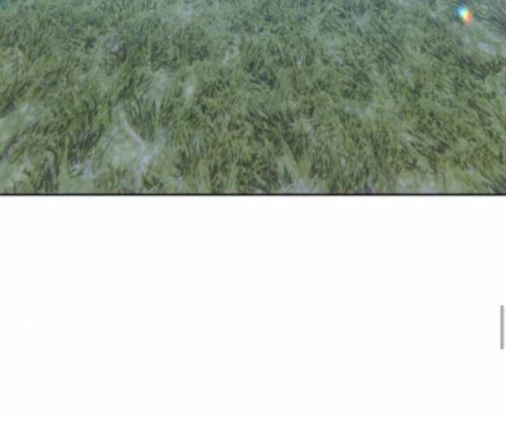 Gậy Gỗ Cấp 99+ Chapter 10.5 - 244