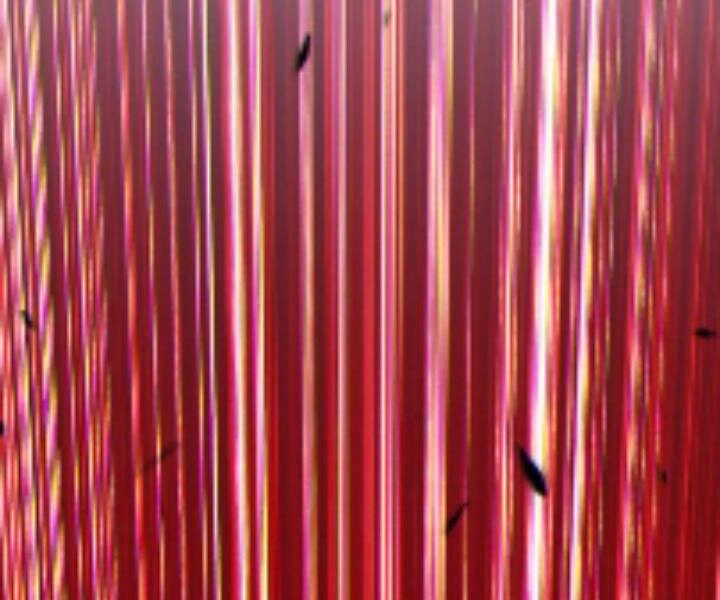 Gậy Gỗ Cấp 99+ Chapter 10.5 - 285