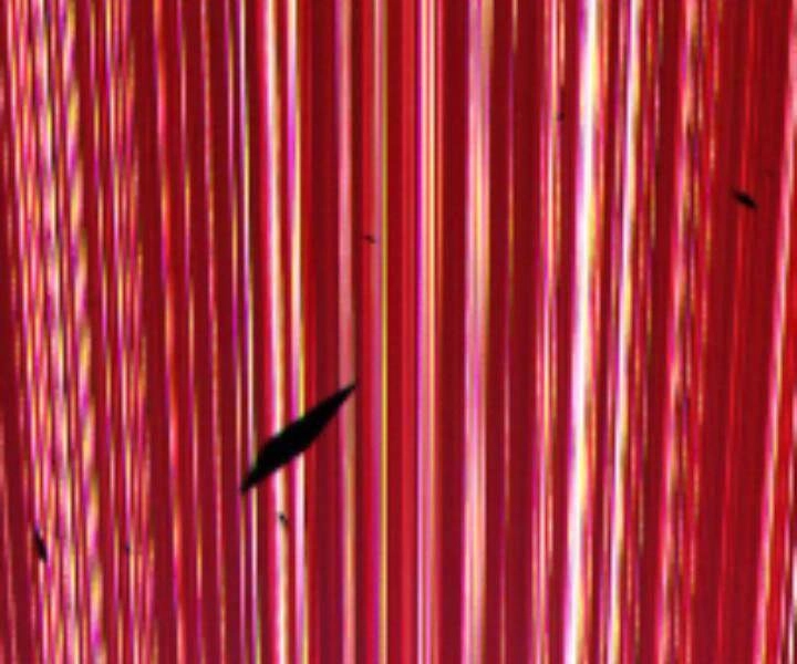 Gậy Gỗ Cấp 99+ Chapter 10.5 - 286